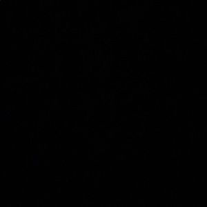 Meet your Posher, Skyler